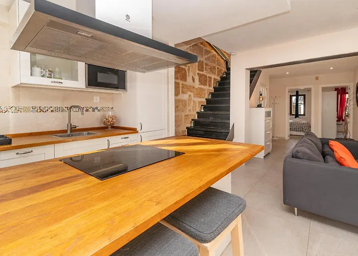 Pare Vives 77 By Sealand